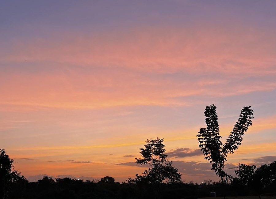 Sunset over the trees